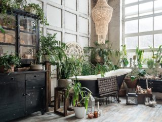 17 Beautiful Chandeliers to Suit Any Aesthetic